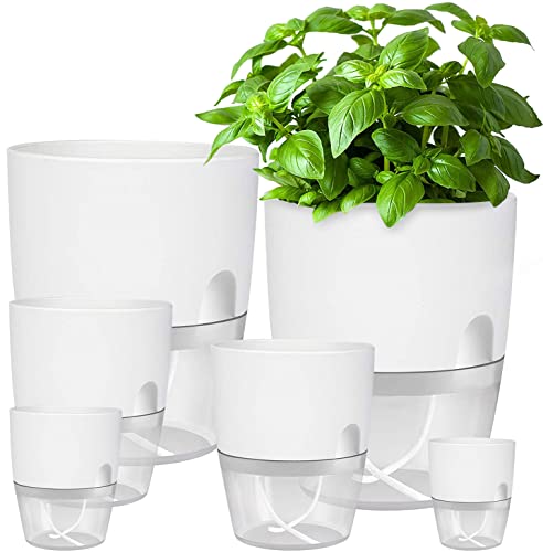 iDattel Blumentopf Mit Bewässerungssystem,Kräutertopf Küche Set Fensterbank selbstbewässernd-6er Set Kräutergarten für die Küche,23.5/15.3/10.5/8.2cm,