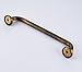 Rozin Antique Brass Tub Safety Grab Bar Wall Mount Handgrip