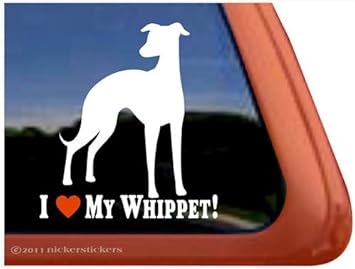 i love my whippet