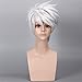 COPLY Men Silver White Short Anime Cosplay Wigs with Headwear Halloween wig Synthetic Wig 35cm 14