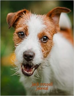 jack russell terrier with kids