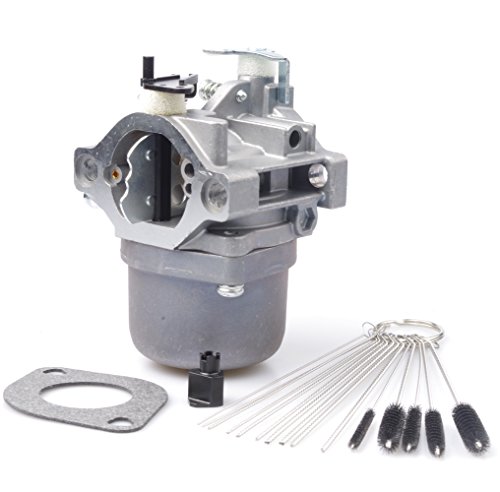 Dosens Carburetor for Briggs & Stratton 799728 494392 494502 286702 286707 LMT 5-4993 Carb with Gasket & Carbon Dirt Jet Cleaner Tool Kit