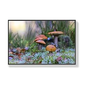 Canvas Wall Art for Living Room, Bedroom Mushroom Framed Canvas Prints for Home Decoration Ready to Hang - 16x24 inches