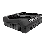Snow Joe + Sun Joe iCHRG40-DPC EcoSharp Lithium-Ion Battery Dual Port Charger | 40 Volt