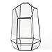 NCYP Small Glass Geometric Terrarium - 4.9 x 3.9 x 7.4 Inches Irregular Clear Planter Pot for Succulents, Cactus, Indoor Garden Tabletop Decoration, Centerpiece (No Plants, No Door)