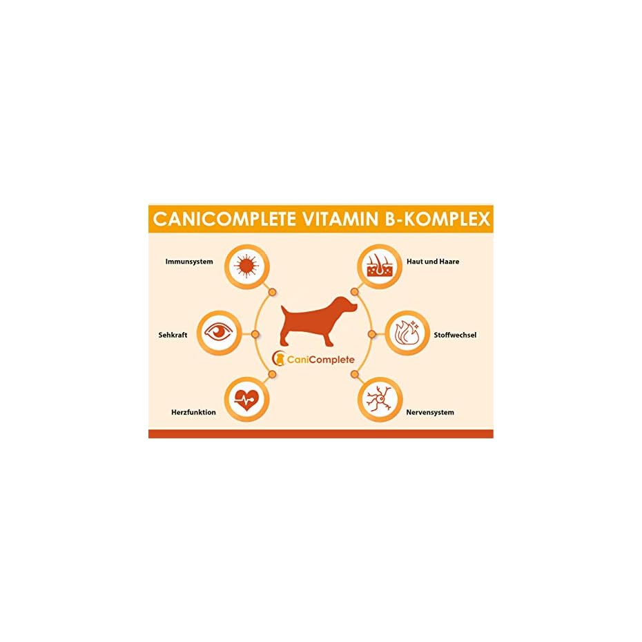 Vitamin BKomplex für Hunde, Katzen B1, B2, B3, B5, B6