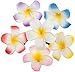 VAGA Set of 15pcs Artificial Flowers Hair Pins/Clips/Decorations with 6 Exotic Hawaii Plumerias and 9 Noble Orchids