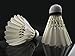 Senston A7 12xTraining Sport White Goose Feather Shuttlecocks Birdies Badminton Ball Game(Dozen)