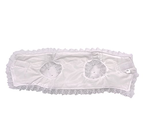 M2cbridge White Dog Puppy Harness Leash Collar Cat Vest Strap With Angel Wings (M)