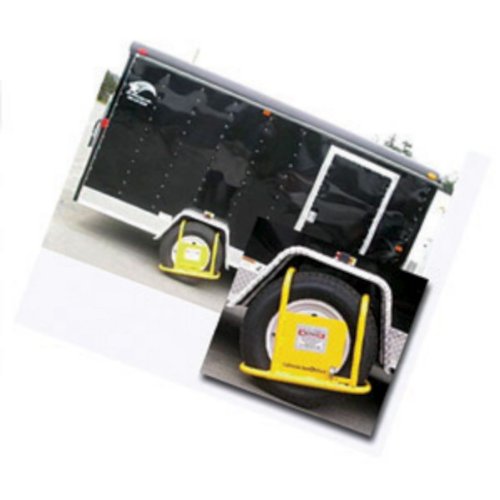 California Immobilizer C100503 Type B Immobilizer