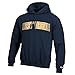 Champion Men's Eco Powerblend Hooded Sweat Shirt