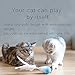 pidan Studio Roly-Poly Feather Teaser Cat Toy with Bell (Newest Version) - Entertain Your Cat While You're Away (Pink)