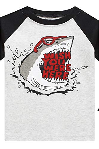Little Boys Pajamas Set for Toddler Cotton Clothes 4-Pieces Dinosaur Shark 2T Sleepwear Kids Casual Long Sleeve Pjs Set (GlassSharkDinosaur,2T)