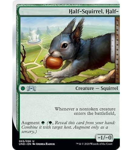 Amazon.com: MTG Magic: The Gathering - Squirrel Dealer (123