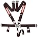 RaceQuip 711001 Black SFI 16.1 Latch and Link 5-Point Safety Harness Set with Individual Shoulder Belt