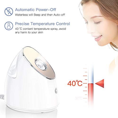 image for Duomishu Facial Steamer - 100ml Nano Ionic Warm Mist Face Spa Humidifi