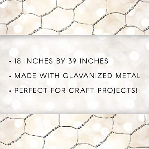 4 Darice+6614+100+Galvanized+Chicken+Craftwork