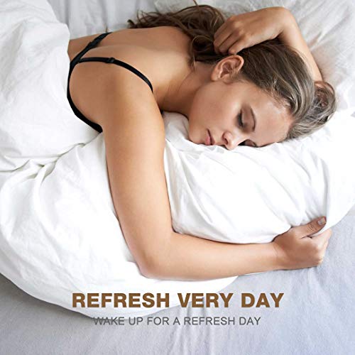 DWR Soild White Down Alternative Comforter Set Queen/Full, 3Piece All