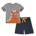 ChicNChic Baby Boys Toddler Summer Clothes Dinosaur T-Shirt with Short Pants Outfits Set (3T, Grey)