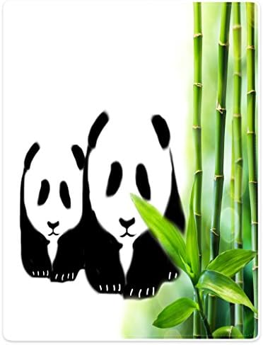 Blanket Sofa Bed Throw Lightweight Cozy Plush Cute Funny Panda Green Bamboo Animals 40"x50"