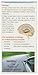 Naturalcare Vertifix for Motion Sickness, 60 Vegetarian Capsules