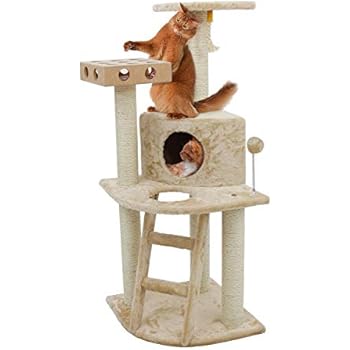 Amazon.com : 1 Piece Beige 47.25 High Comfort Scratcher
