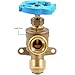 SharkBite 3/4 Inch x 3/4 Inch MHT Garden Valve, Multi Turn, Push to Connect Brass Plumbing Fitting, PEX Pipe, Copper, CPVC, PE-RT, HDPE, 24623LF