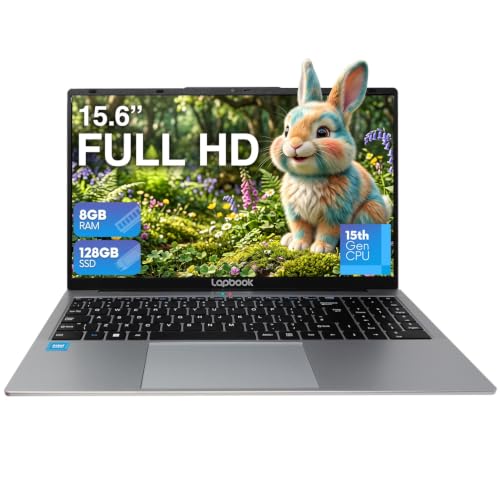 Lapbook S15 N6 Laptop