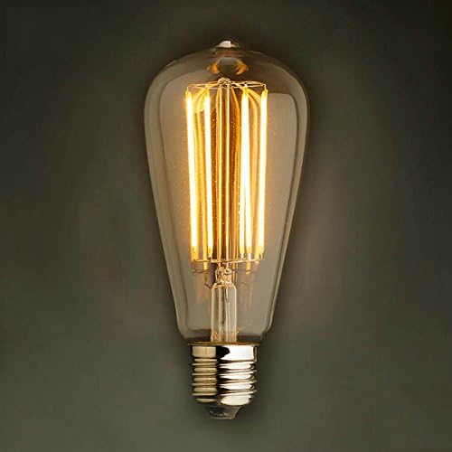 110v60W Vintage Bushwick Squirrel Cage ST64 Filament Bulbs Bravelights