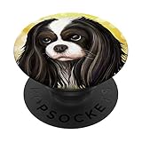 Cavalier King Charles Spaniel Tricolor, Dog