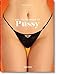 The Little Book of Pussy (2013-06-16) [Paperback]