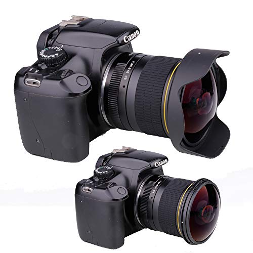 JINTU 8mm F/3.0 Professional Wide Angle Fisheye Lens for Nikon D3500 D3400 D3200 D3100 D5600