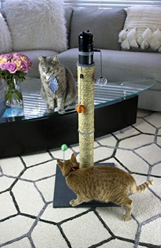 cat craft laser topper toy