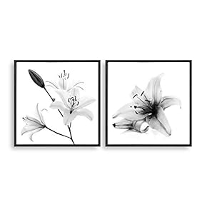 2 Piece Framed Canvas Home Artwork Decoration Transparent Flower Canvas Wall Art for Living Room, Bedroom - 16"x16"x2 Panels