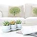 MyGift Set of 3 Realistic Artificial Succulent Planters w/Round White Ceramic Pots & Decorative Display Tray