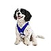 Gooby Comfort X Head In Harness - Blue, X-Large - No Pull Small Dog Harness Patented Choke-Free X Frame - Perfect on the Go Dog Harness for Medium Dogs No Pull or Small Dogs for Indoor and Outdoor Use