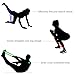 Resistance Loop Bands [Set of 6], LizardMad Natural Latex Fitness Exercise Bands for Workout, Pilates, Yoga, Rehab or Physical Therapy with Instructional Booklet, eBook (12