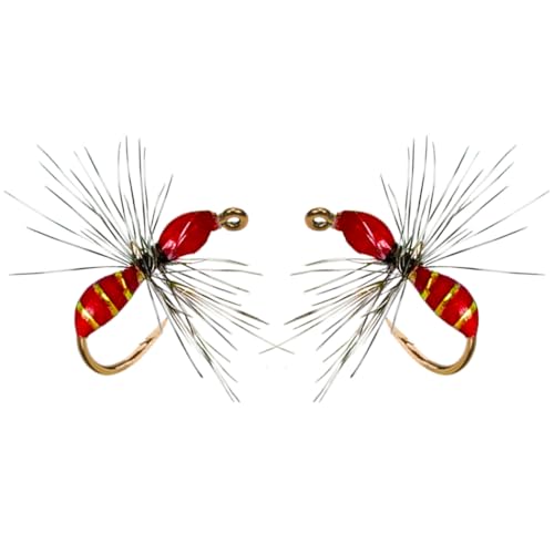 Qitewwrme 20Pcs/Box Fly Fishing Lures Griffith Midges Bionics Ant Bass Salmon Trouts Flies Artificial Insect Fishing Bait 3Styles (Style B)