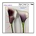 Angel Isabella 10pc Set Real Touch Calla Lily-Keepsake Artificial Flower Perfect for Cut to Make Boutonniere Corsage Bouquets (Picasso Plum)