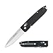 Ganzo G746 Tactical Folding Knife 440C Stainless Steel Blade G10 Handle with Clip Axis Lock Camping Travel Fishing Hunting Outdoor EDC Knife (Black)