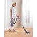 Shark NV351 Navigator Lift-Away Professional Canister and Upright Vacuum Cleaner for Carpet and Hard Wood Floors (Renewed)