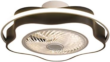 LZMXMYS Unsichtbare mit Licht und Fern dreiundsechzig cm, leuchtet