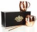 Copper Mountains Moscow Mule Mugs – Premium Gift Set of 2 with Straws and Summer Recipes – 16 Ounces – Pure Copper – Hammered Finish – Satisfaction Guarantee