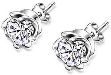 YOUNICE Round Platinum Clear Cubic Zirconia Royal Journey Jewelry 925 Silver Stud Earrings