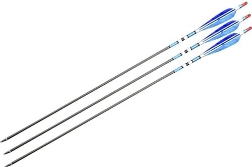 Lehang8899 Craftsmans Handmade Carbon Shaft Archery Arrow Feathers F Bow Blue Color 80cm pack of 3