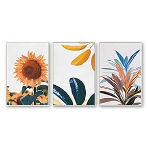 Framed Canvas Wall Art for Living Room, Bedroom Beautiful Plants Cactus Canvas Prints for Home Decoration Ready to Hanging - 16"x24"x3 Panels