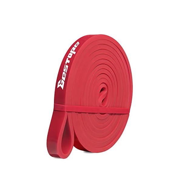 BESTOPE-Resistance-Band-Pull-Up-Assist-Band-for-Powerlifting-and-Yoga-Premium-Latex-Durable-Workout-Stretch-Exercise-Loop-Crossfit-Band-for-Men-and-Women-Training-Fitness-Band-Red Resistance Band Pull Up Assist Band - Premium Latex Durable Workout Exercise Loop Band, Stretch Training Fitness Band…