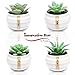 Japanese Style Artificial Succulent Plants in pot- Set of 4 Mini fake succulent plants Artificial Succulent Plants fake succulent plants in pot faux succulent plants fake cactus succulents - Set of 4