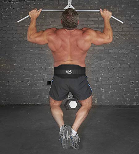 weighted pullup belt
