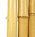 Natural Rolled Bamboo Fencing 3/4